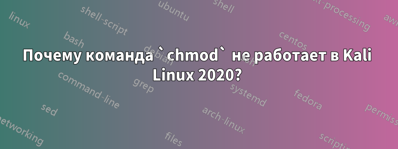 Почему команда `chmod` не работает в Kali Linux 2020?