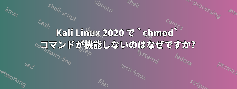 Kali Linux 2020 で `chmod` コマンドが機能しないのはなぜですか?