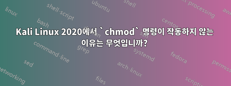 Kali Linux 2020에서 `chmod` 명령이 작동하지 않는 이유는 무엇입니까?