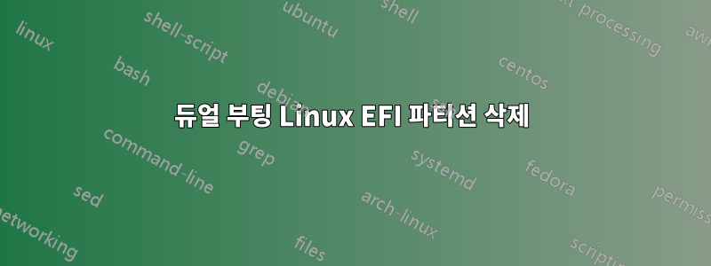 듀얼 부팅 Linux EFI 파티션 삭제