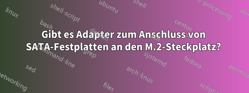 Gibt es Adapter zum Anschluss von SATA-Festplatten an den M.2-Steckplatz?