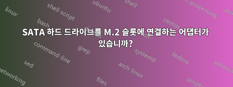 SATA 하드 드라이브를 M.2 슬롯에 연결하는 어댑터가 있습니까?