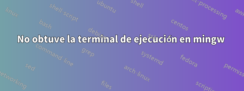 No obtuve la terminal de ejecución en mingw