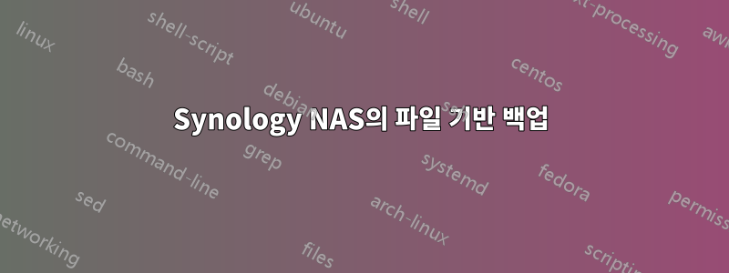 Synology NAS의 파일 기반 백업