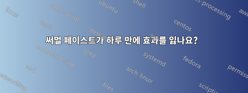 써멀 페이스트가 하루 만에 효과를 잃나요? 