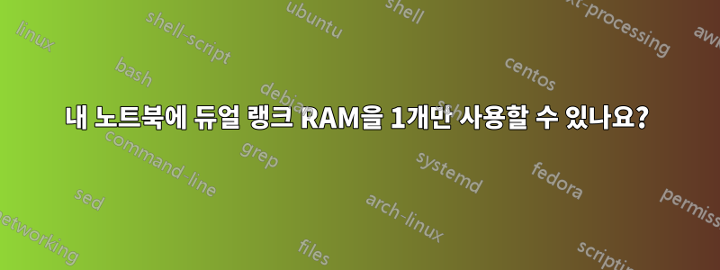 내 노트북에 듀얼 랭크 RAM을 1개만 사용할 수 있나요?