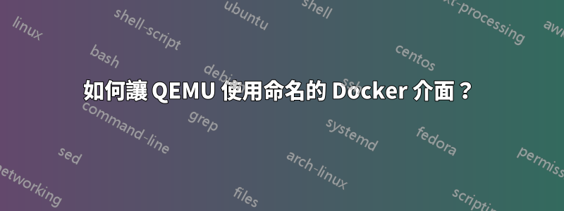 如何讓 QEMU 使用命名的 Docker 介面？