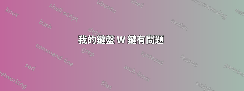 我的鍵盤 W 鍵有問題