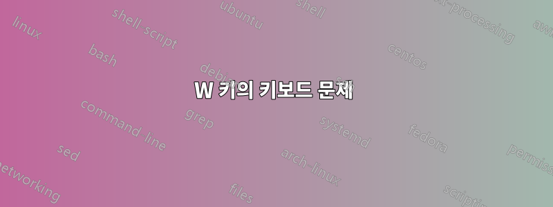 W 키의 키보드 문제