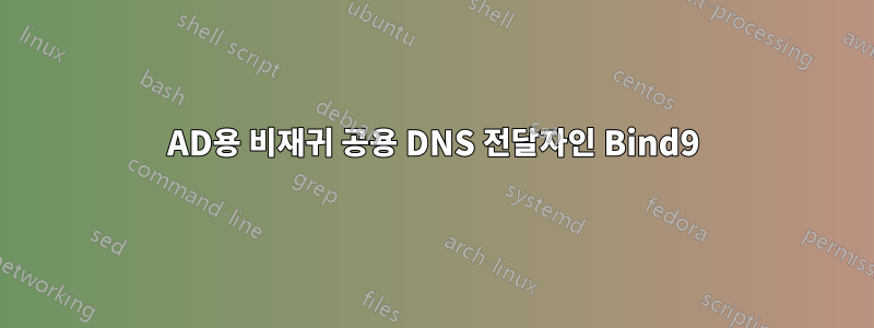 AD용 비재귀 공용 DNS 전달자인 Bind9