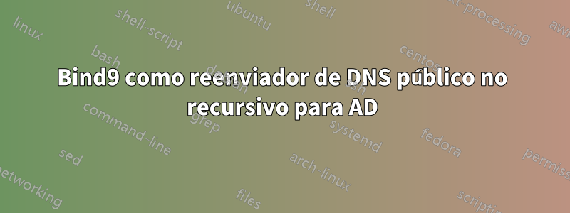 Bind9 como reenviador de DNS público no recursivo para AD