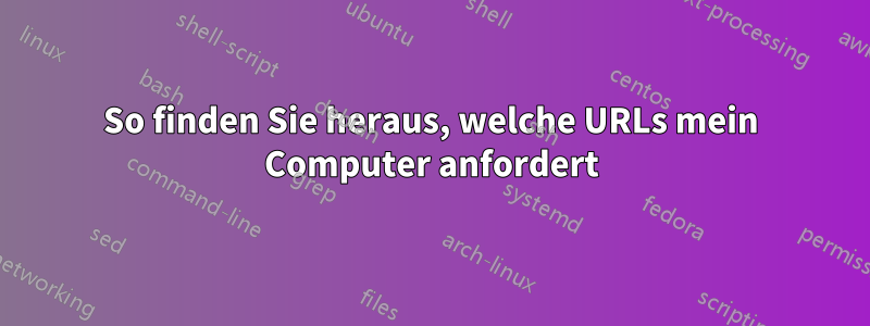 So finden Sie heraus, welche URLs mein Computer anfordert