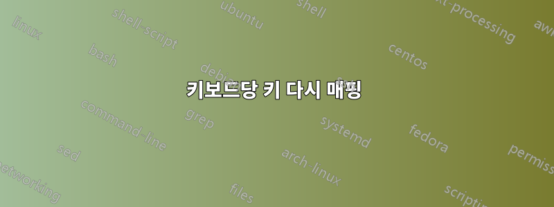 키보드당 키 다시 매핑