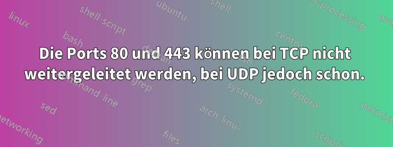 Die Ports 80 und 443 können bei TCP nicht weitergeleitet werden, bei UDP jedoch schon.