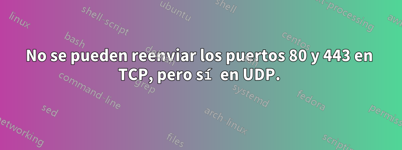 No se pueden reenviar los puertos 80 y 443 en TCP, pero sí en UDP.