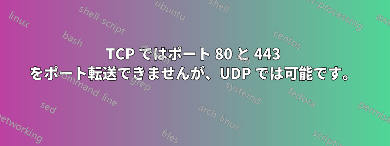 TCP ではポート 80 と 443 をポート転送できませんが、UDP では可能です。