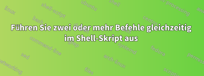 Führen Sie zwei oder mehr Befehle gleichzeitig im Shell-Skript aus