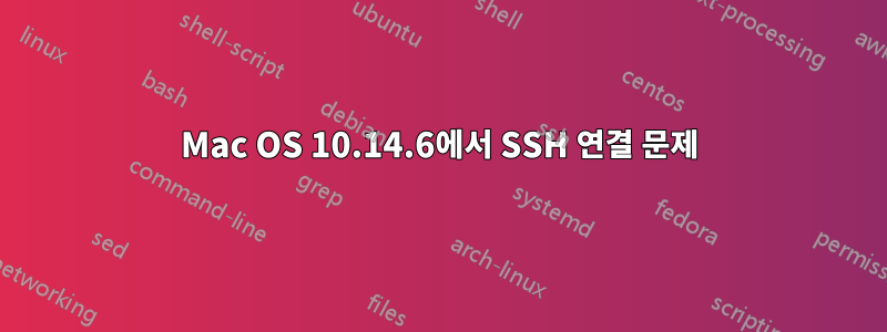 Mac OS 10.14.6에서 SSH 연결 문제