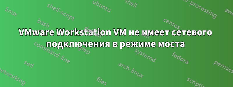 VMware Workstation VM не имеет сетевого подключения в режиме моста