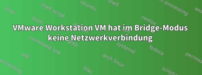 VMware Workstation VM hat im Bridge-Modus keine Netzwerkverbindung