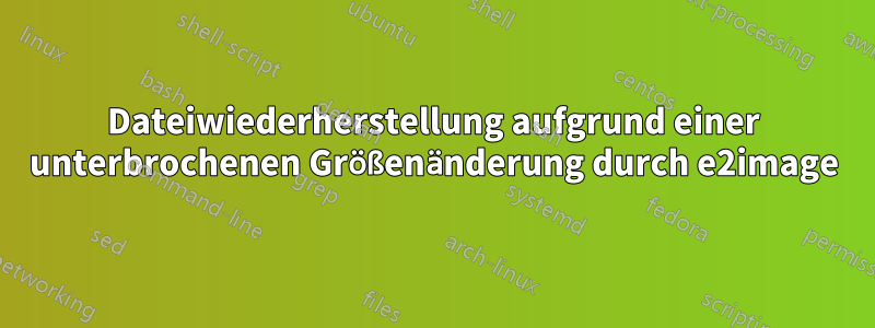 Dateiwiederherstellung aufgrund einer unterbrochenen Größenänderung durch e2image