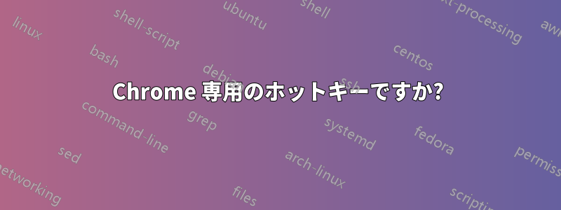 Chrome 専用のホットキーですか?