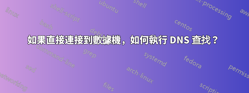 如果直接連接到數據機，如何執行 DNS 查找？