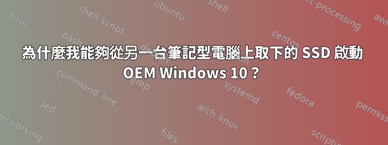 為什麼我能夠從另一台筆記型電腦上取下的 SSD 啟動 OEM Windows 10？