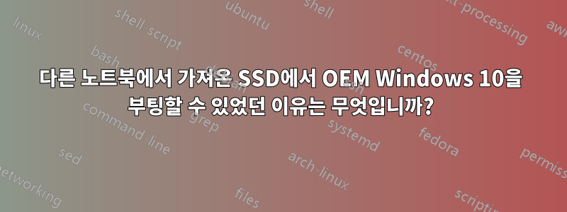 다른 노트북에서 가져온 SSD에서 OEM Windows 10을 부팅할 수 있었던 이유는 무엇입니까?