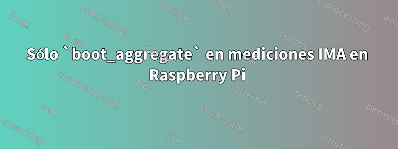 Sólo `boot_aggregate` en mediciones IMA en Raspberry Pi