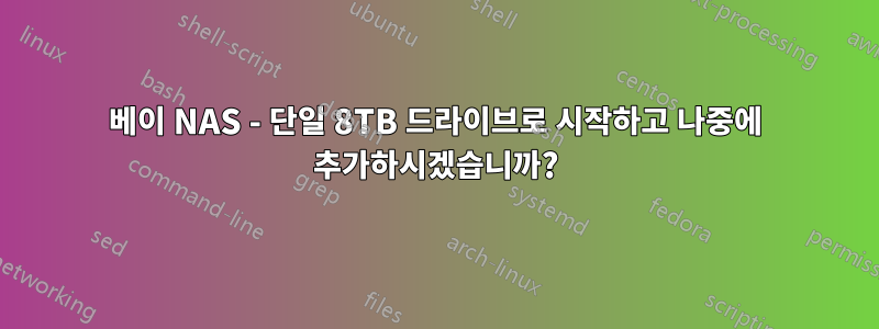 2베이 NAS - 단일 8TB 드라이브로 시작하고 나중에 추가하시겠습니까?