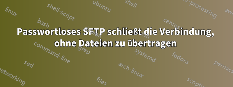 Passwortloses SFTP schließt die Verbindung, ohne Dateien zu übertragen