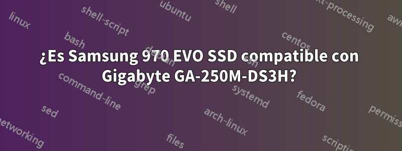 ¿Es Samsung 970 EVO SSD compatible con Gigabyte GA-250M-DS3H?