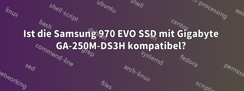 Ist die Samsung 970 EVO SSD mit Gigabyte GA-250M-DS3H kompatibel?