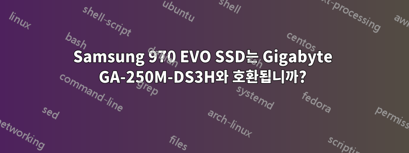 Samsung 970 EVO SSD는 Gigabyte GA-250M-DS3H와 호환됩니까?