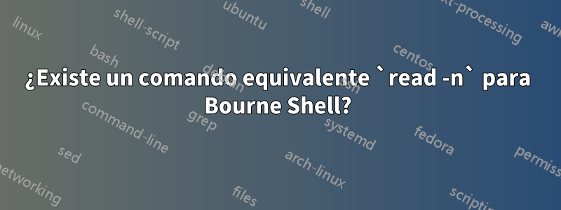 ¿Existe un comando equivalente `read -n` para Bourne Shell?