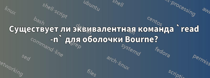 Существует ли эквивалентная команда `read -n` для оболочки Bourne?