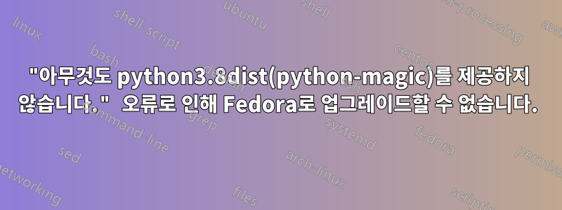 "아무것도 python3.8dist(python-magic)를 제공하지 않습니다." 오류로 인해 Fedora로 업그레이드할 수 없습니다.