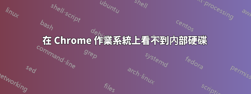 在 Chrome 作業系統上看不到內部硬碟