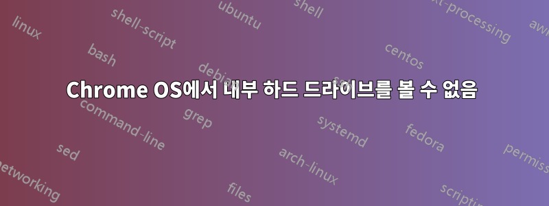 Chrome OS에서 내부 하드 드라이브를 볼 수 없음