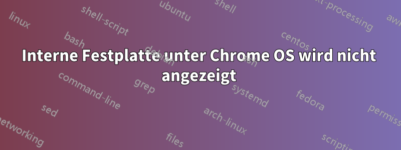 Interne Festplatte unter Chrome OS wird nicht angezeigt