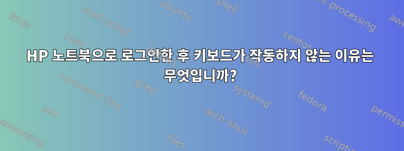 HP 노트북으로 로그인한 후 키보드가 작동하지 않는 이유는 무엇입니까?