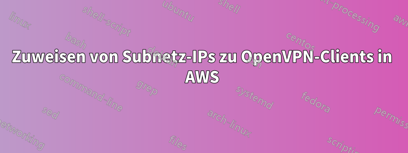 Zuweisen von Subnetz-IPs zu OpenVPN-Clients in AWS