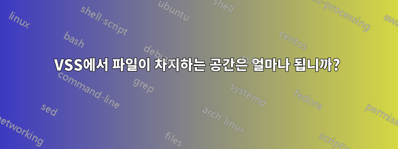 VSS에서 파일이 차지하는 공간은 얼마나 됩니까?