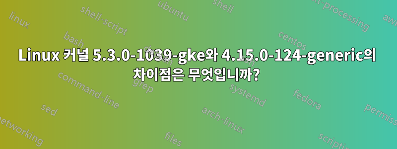 Linux 커널 5.3.0-1039-gke와 4.15.0-124-generic의 차이점은 무엇입니까?