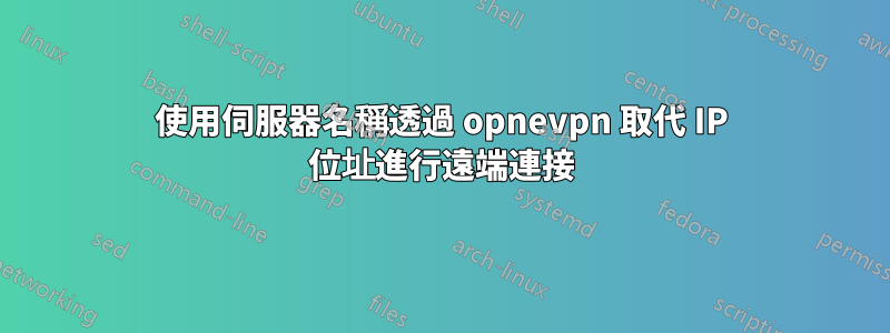 使用伺服器名稱透過 opnevpn 取代 IP 位址進行遠端連接