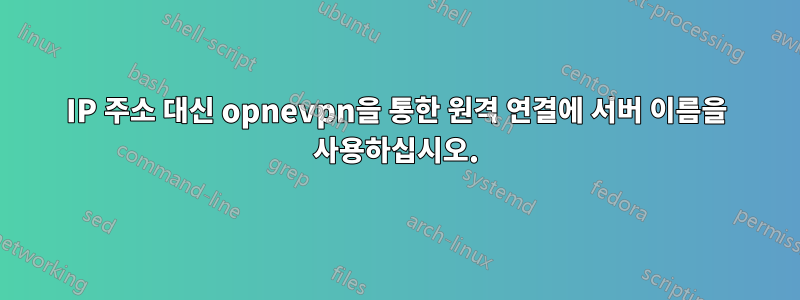 IP 주소 대신 opnevpn을 통한 원격 연결에 서버 이름을 사용하십시오.