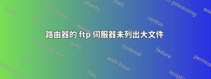 路由器的 ftp 伺服器未列出大文件