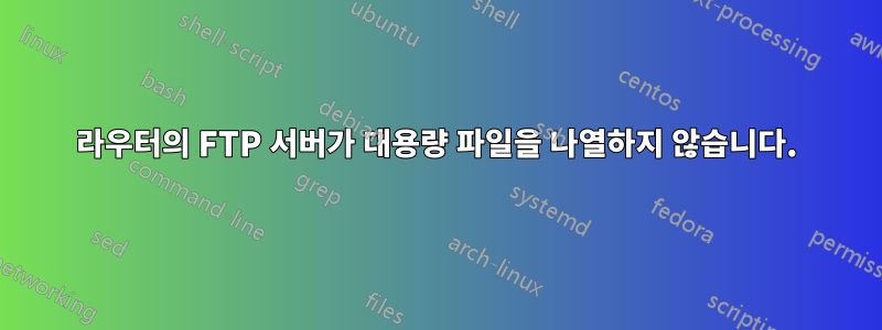 라우터의 FTP 서버가 대용량 파일을 나열하지 않습니다.