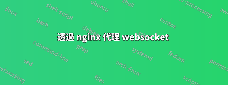 透過 nginx 代理 websocket